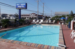  Sea Horse Motel  Бич Хейвен